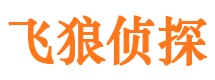 万荣市调查公司